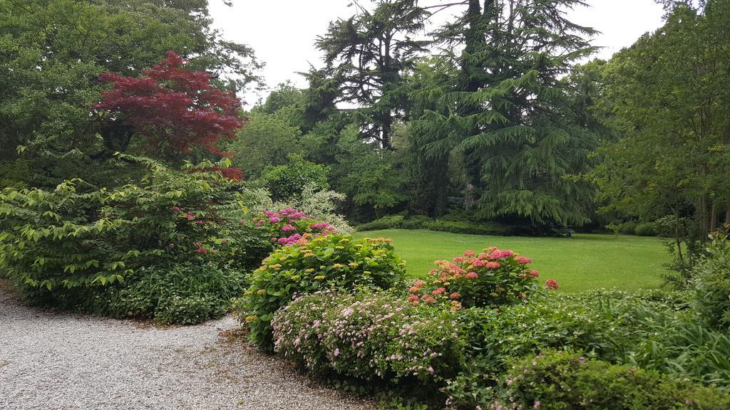 Villa Di Tissano Eksteriør billede